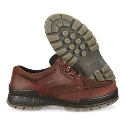 Ecco Track 25 GTX Bison