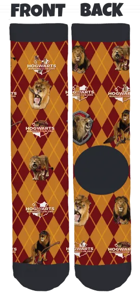 Gryffindor Socks