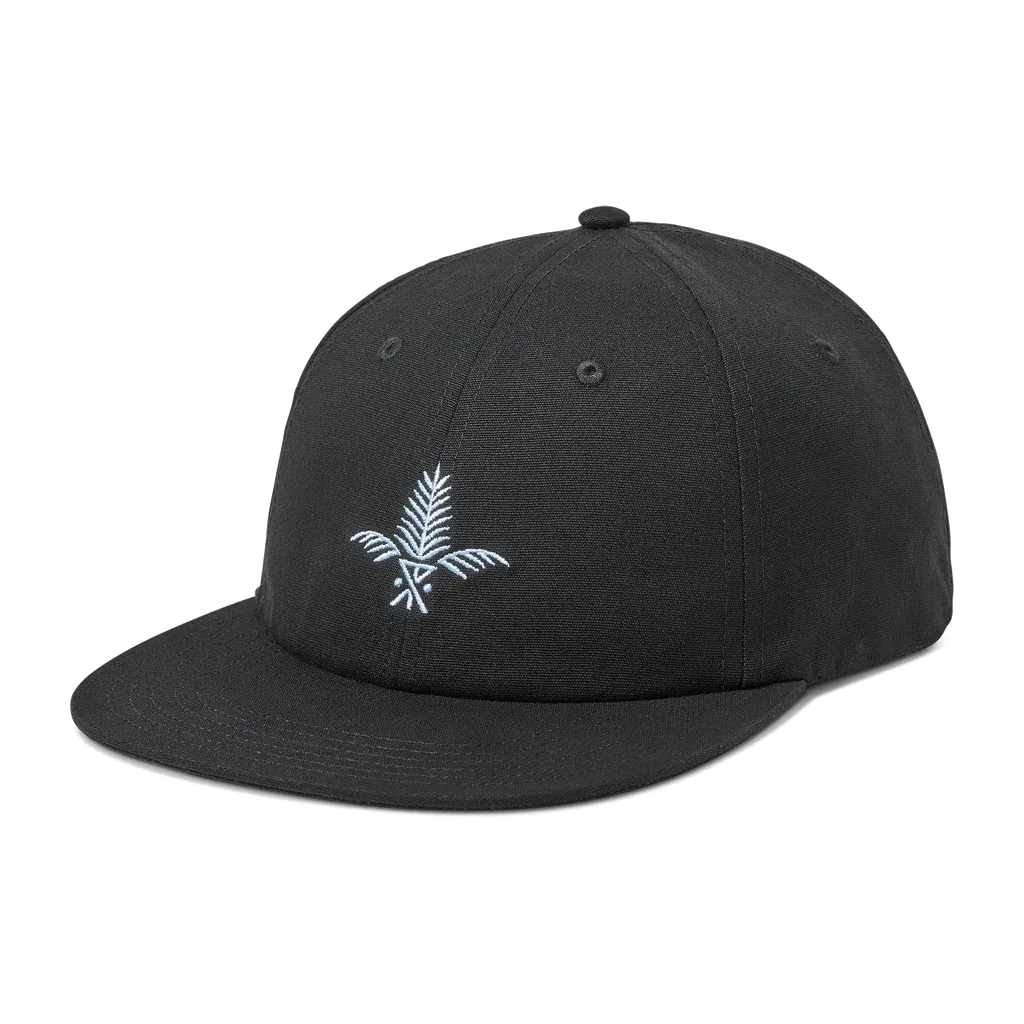 Silver Fern 6 Panel Black