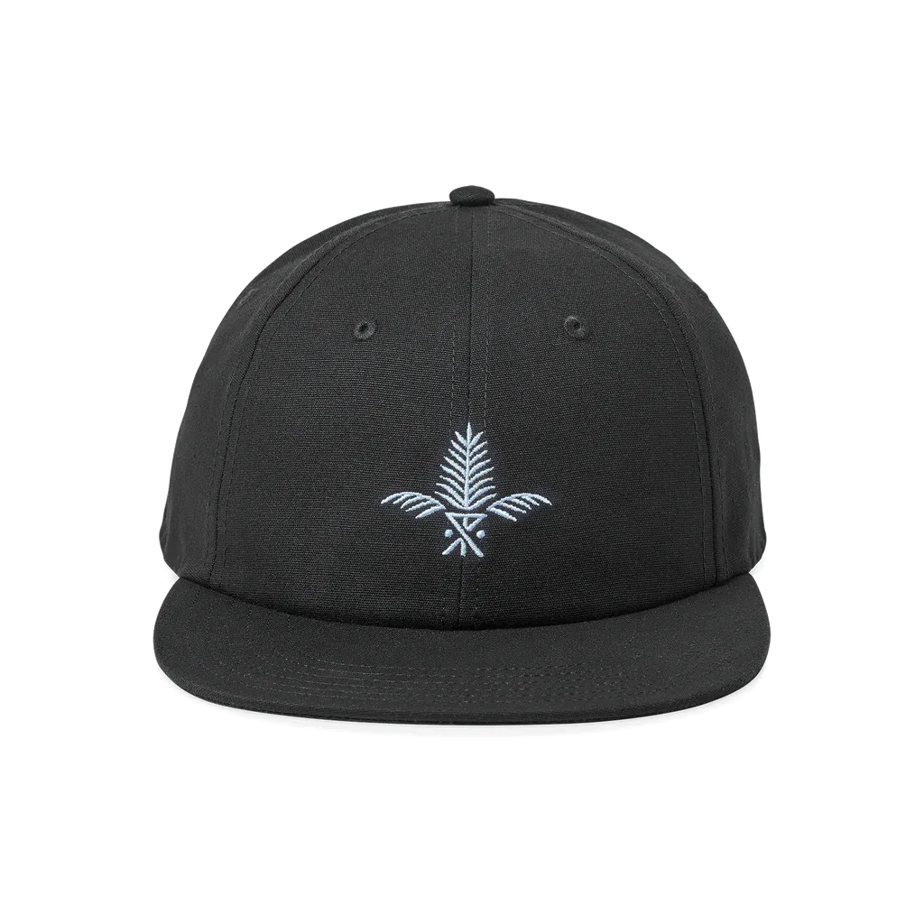 Silver Fern 6 Panel Black