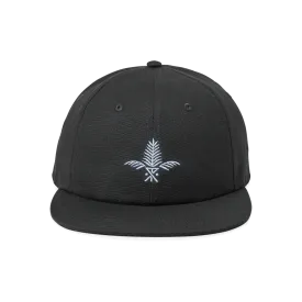 Silver Fern 6 Panel Black