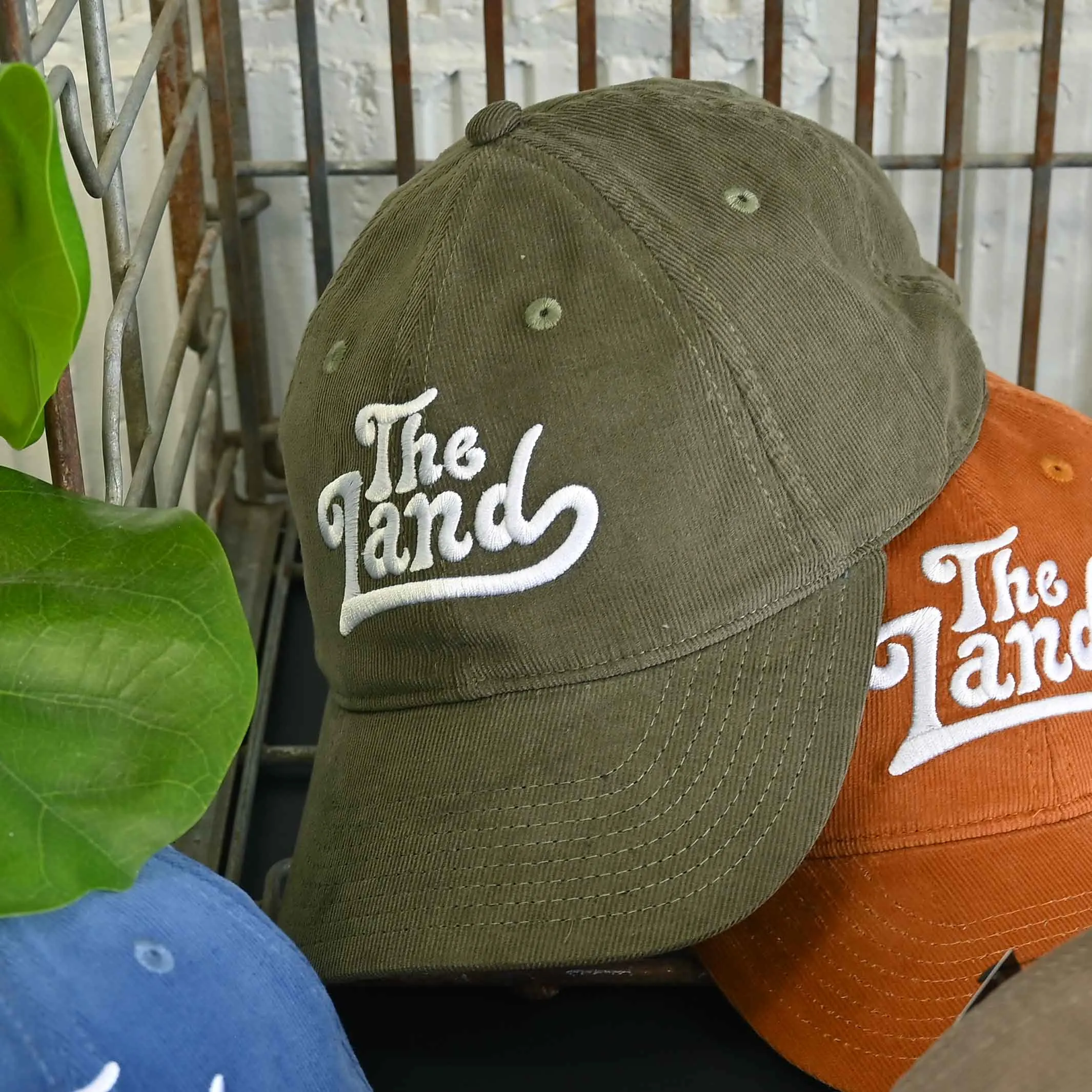 The Land 'Groovy' Cord Dad Hat - Olive